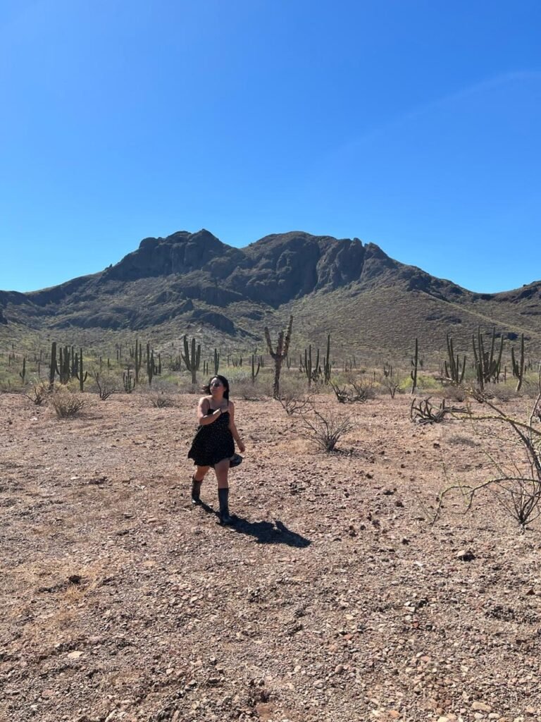 whatsapp image 2025 11 22 at 02.47.26